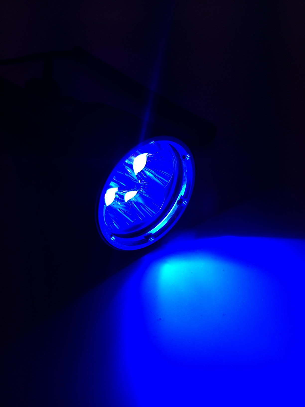 AmberExpert™ XLC5 Ravlygte - kraftig 50W UV-lygte