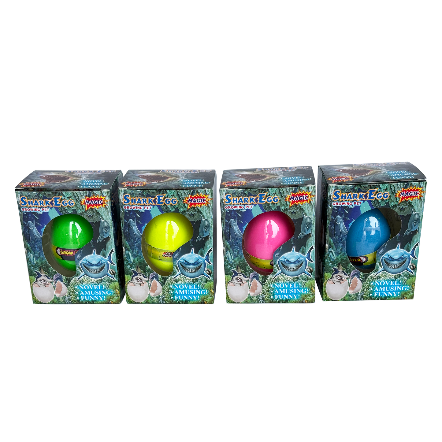 Ocean egg