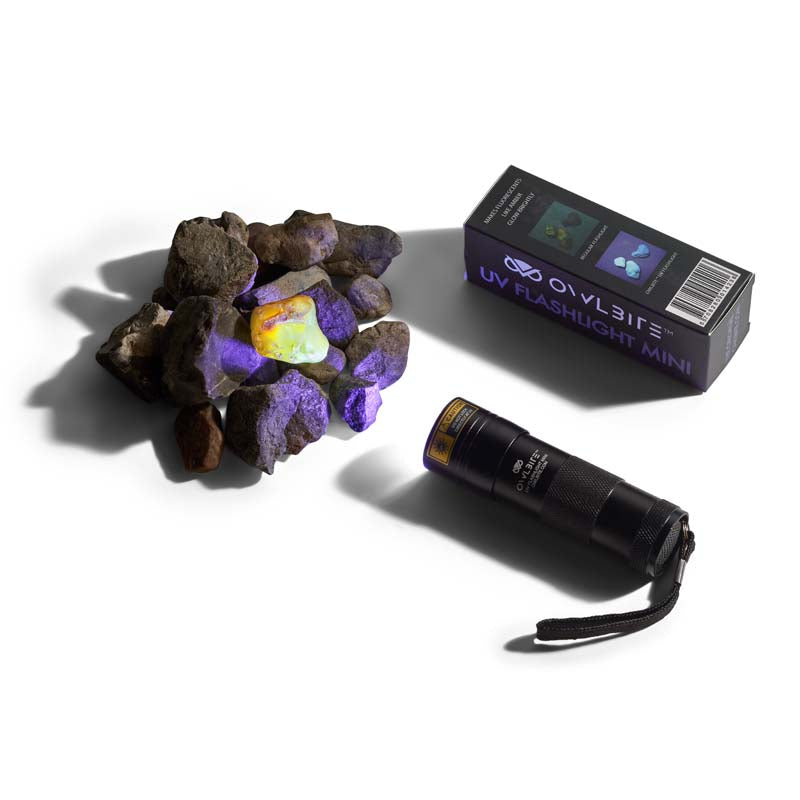OwlBite® Ravlygte Mini - kraftig UV-ravlygte