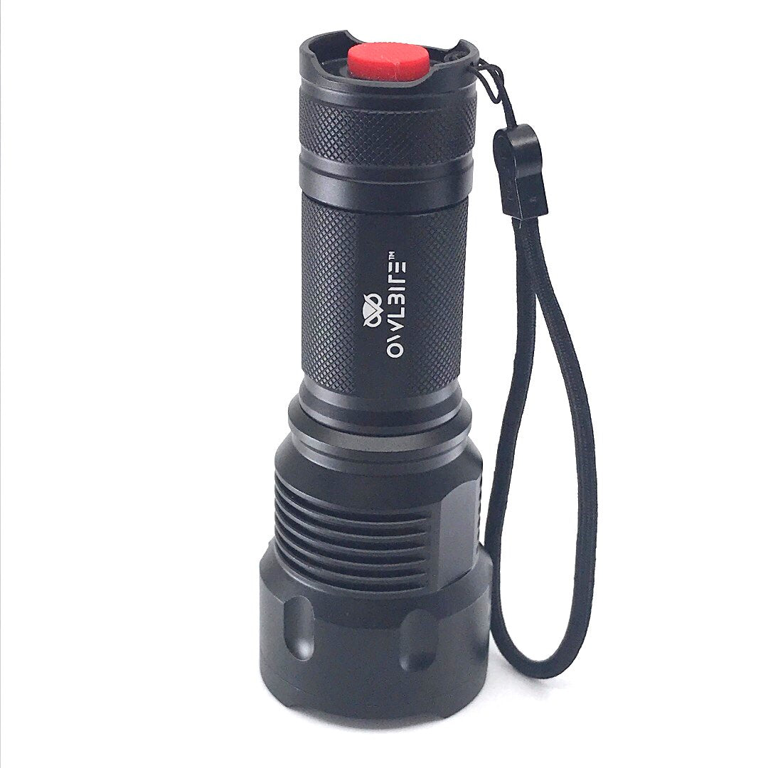 OwlBite® Ravlygte: 2-i-1 combi UV & LED lygte