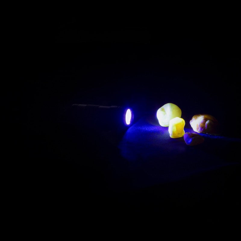 OwlBite® Ravlygte Mini - kraftig UV-ravlygte
