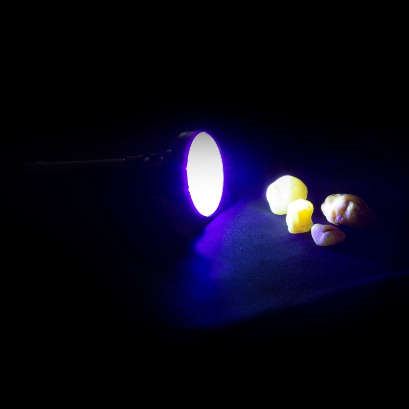 OwlBite® Ravlygte Pro - kraftig UV-ravlygte