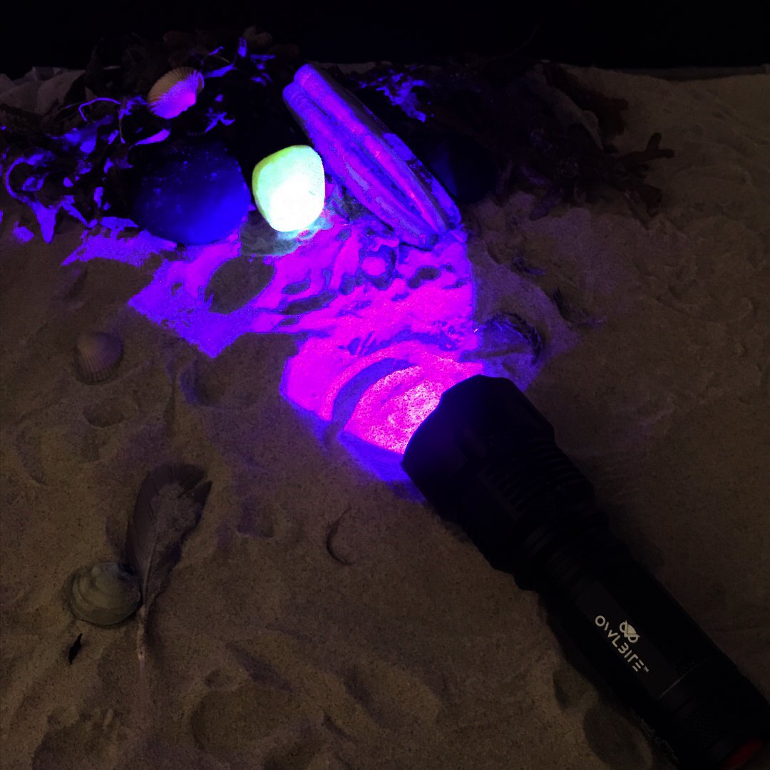 OwlBite® Ravlygte: 2-i-1 combi UV & LED lygte