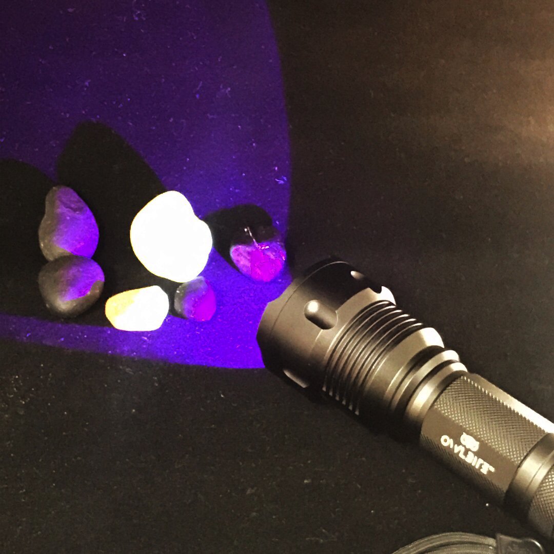 OwlBite® Ravlygte: 2-i-1 combi UV & LED lygte